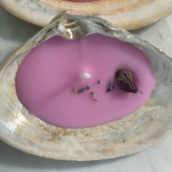 Shabby Chic Boho Shell Decor - Soy Wax Seashell Tea Light Candles- Set of Two - Picture 4 of 16